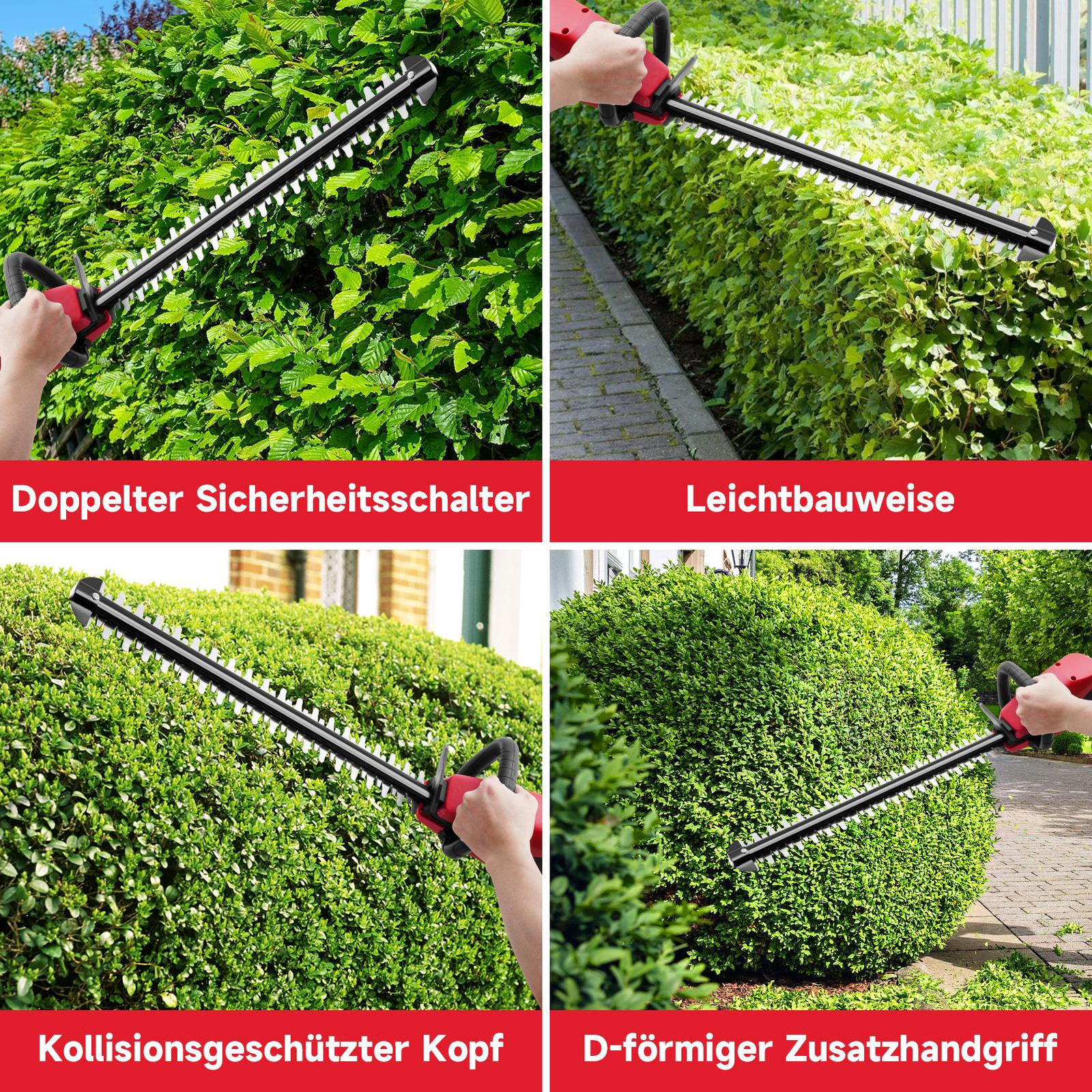 Bild 10 von 13