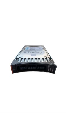 IBM 300GB SAS (FRU42D6038)