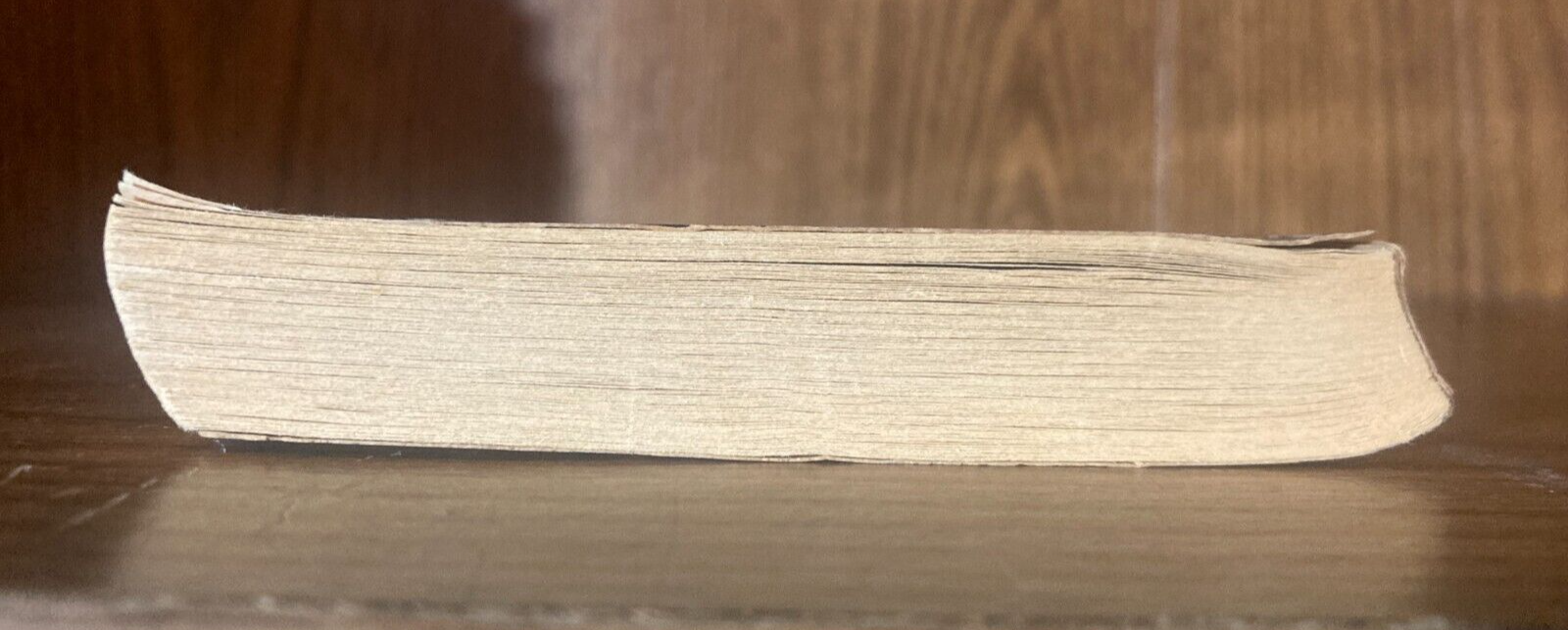 Picture 6 of 6