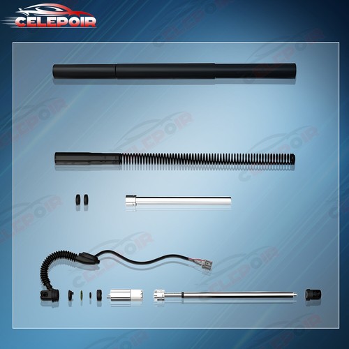Puntoni Gas Portellone Stivale Auto Elettrico Land Rover Range Rover Evoque LR061667 - Foto 7 di 12
