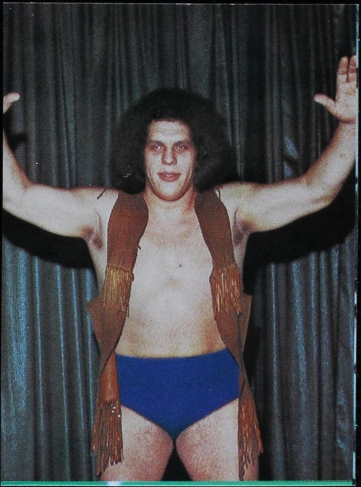 1974 Yamakatsu New Japan Pro Wrestling - Andre the Giant #29 for