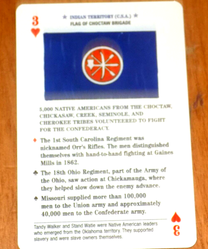 FLAGS OF THE CIVIL WAR Battle Flag Units Playing Cards Deck US Games Systems - Picture 10 of 17