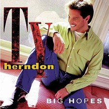 Big Hopes - Audio CD By Ty Herndon - GOOD