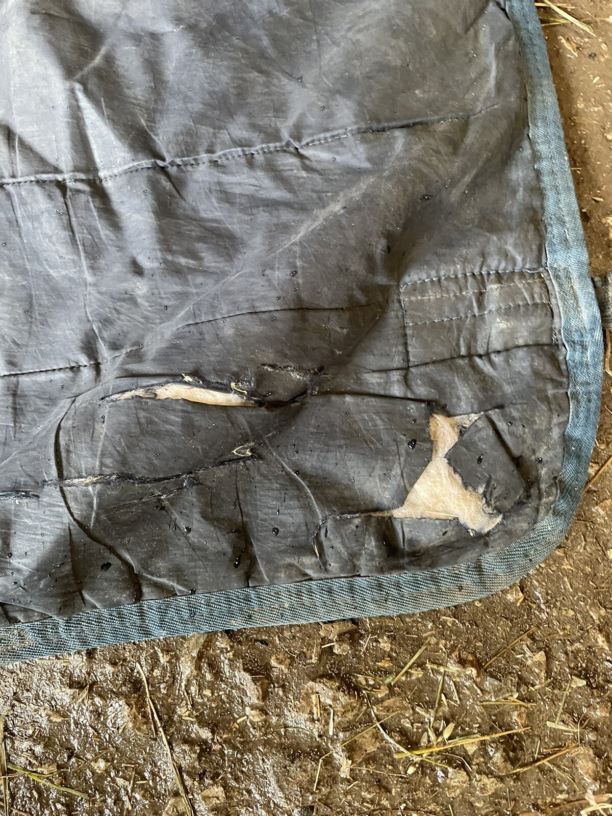 Horseware Amigo Rug Liner 6’3 100g eBay