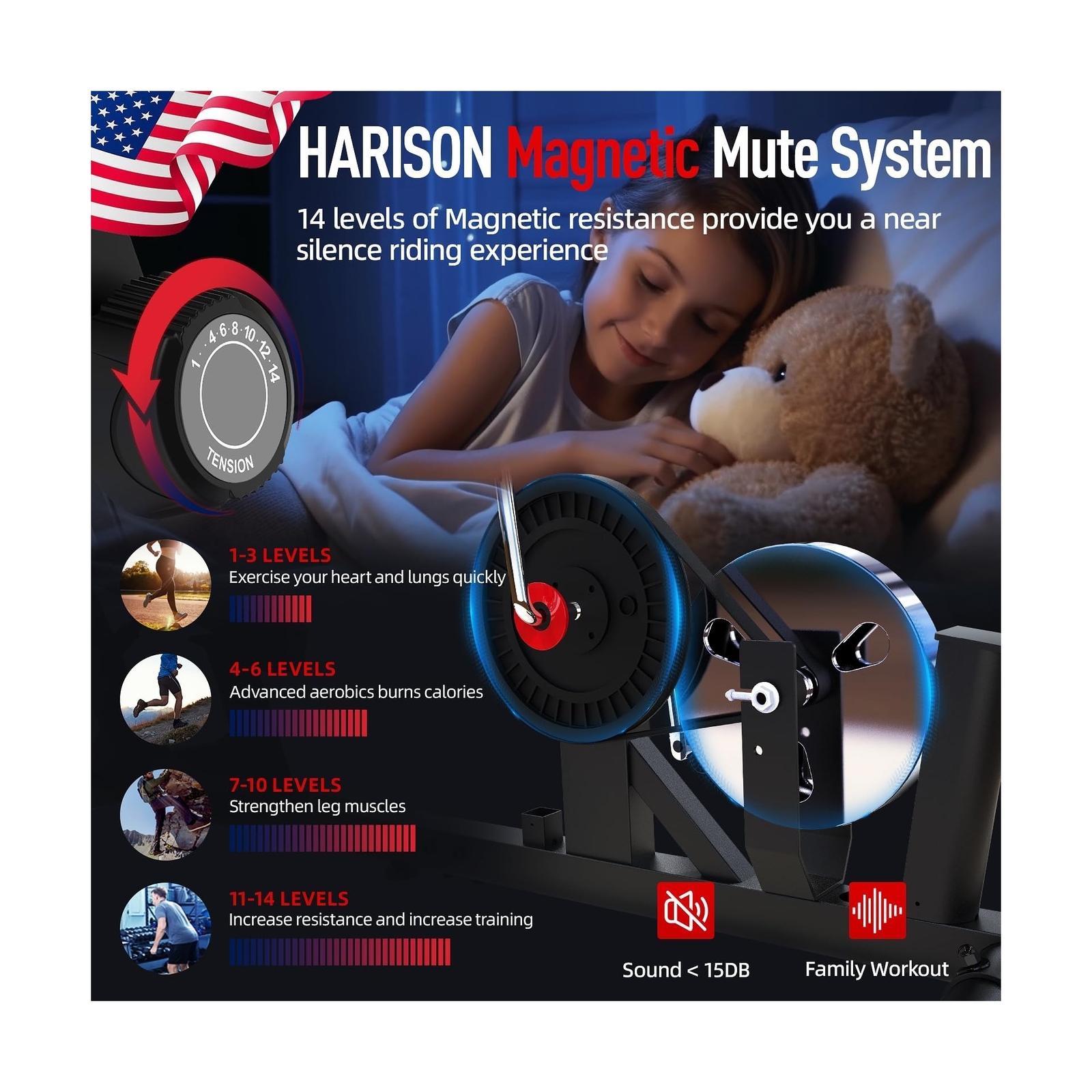 HARISON Recumbent Exercise Bike with Arm Exerciser, Recumbent