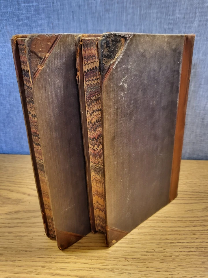 The Life and Times of Charles James Fox 2 volumes complete - Image 2 of 4