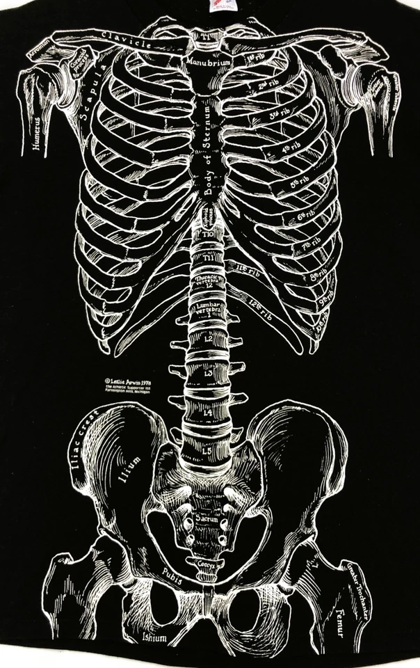 Vintage 70's 1978 Skeleton Back & Front Black T-Shirt Anatomy Leslie Arwin ~ L - Image 2 of 4