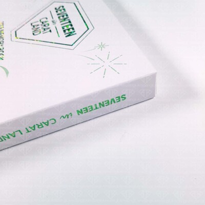 SEVENTEEN Carat Land Official Goods - Memory Book 2017 2018