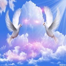 10'x10' Doves Computer-painted Sky/Cloud Scenic Photo Background Backdrop RD018