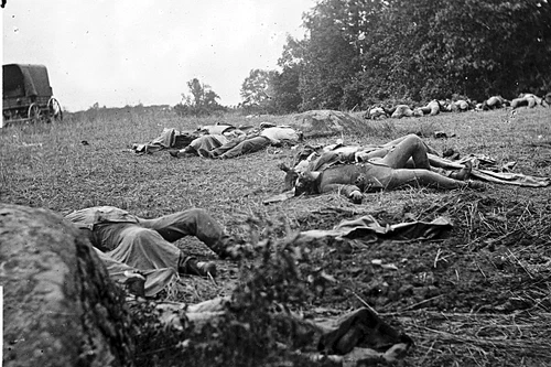 New 5x7 Civil War Photo: Confederate Dead at Rose Woods after Gettysburg 1863