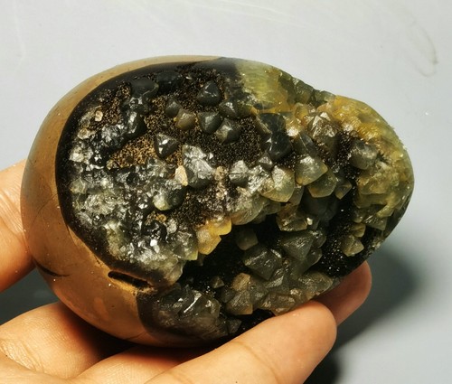 Polished DRAGON SEPTARIAN Calcite GEODE SPHERE Egg Madagascar - Picture 7 of 11