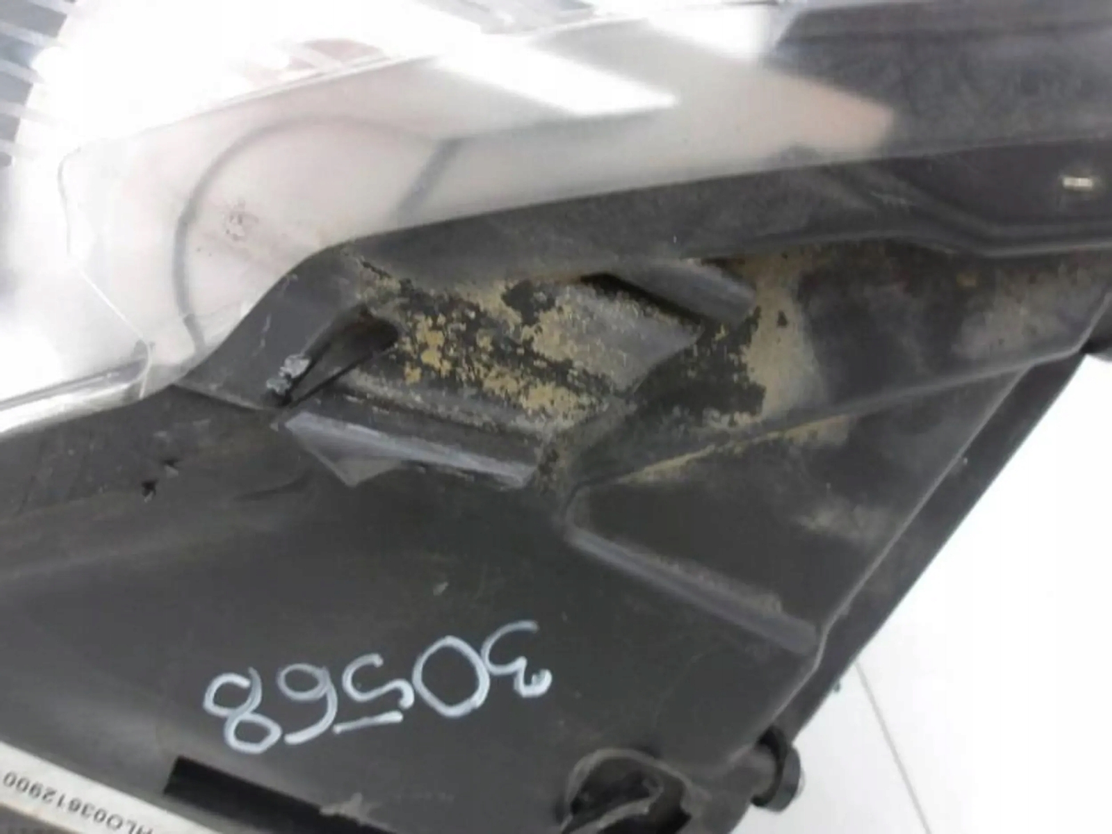 値下げ激レア！shimbawaクワッド6.0 グッドサイズ