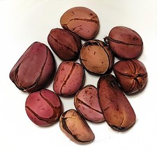 Kola Nut obi abata - Organic kola nut  garcinia kola  4oz Kolanut 3 to 5 lobe