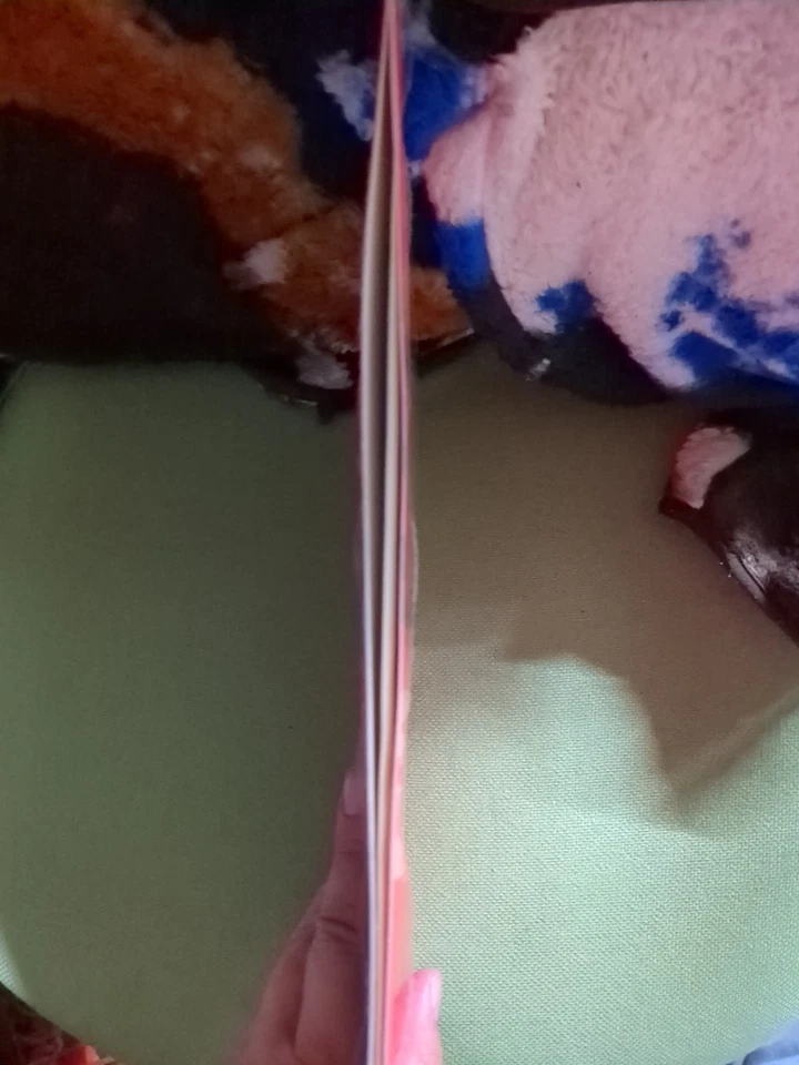 JSCHLATT~A VERY 1999 CHRISTMAS LP MINT SEALED! (2024) LIMITED EDITION SCHALTT - Image 3 of 3