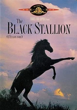The Black Stallion [DVD] - DVD - VERY GOOD