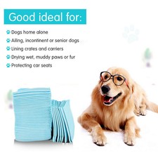 Pet Training Pads 400/200 Puppy Dog Toilet Pee Indoor Super Absorbent 60x60cm — image 4