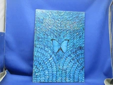 Old pamphlet SANTANA Catalog Live Concert 20709