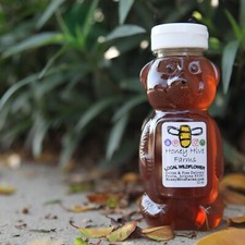 Honey, Pure Wildflower Honey by Honey Hive Farms.  BUY ME!  I am the best! 12 OZ
