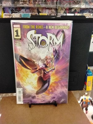 Storm #1 Main Cover A PRESALE 10/2 2024