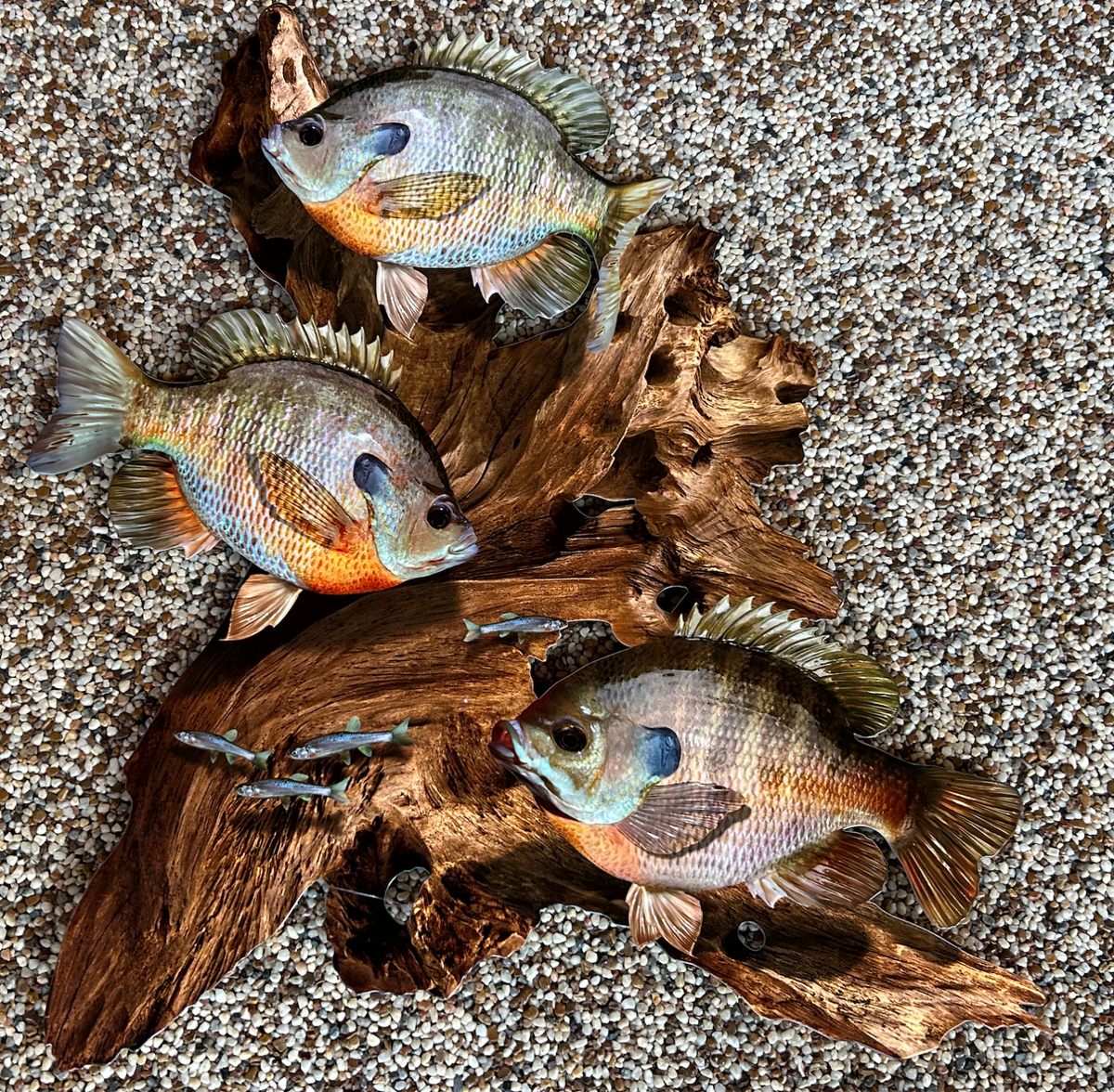 Targa Intagliata In Legno Di Iroko, Aquila Che Pesca, Decorazione Rustica Per Baita Da Cacciatore - Italia - Foto 10
