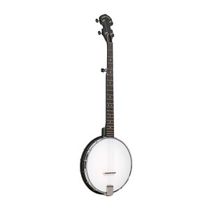 Gold-Tone Banjo | eBay