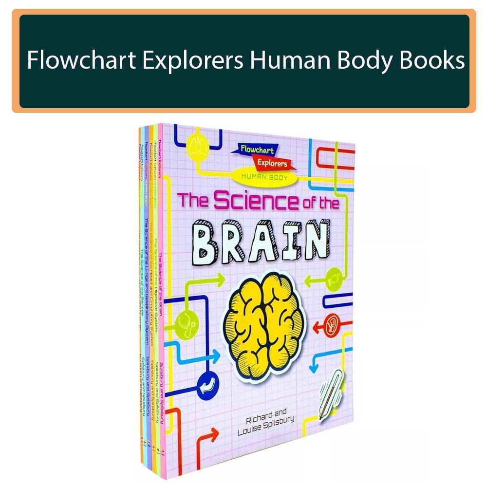 Flowchart Explorers Human Body STEM 6 Science Books Set Brain, Digestive, Lungs