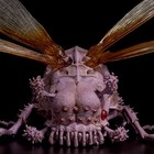 Foto 7 di 9