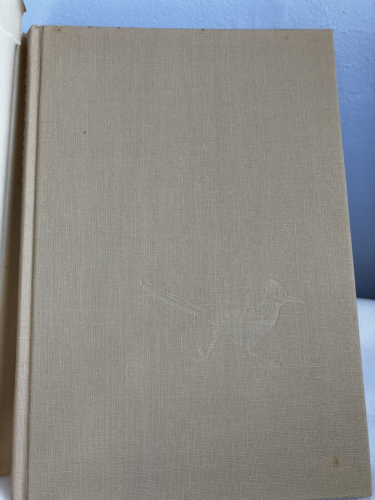 Picture 10 of 11