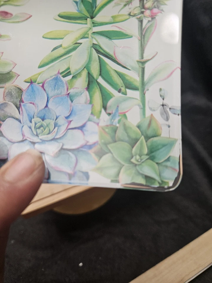 "Jabón floral de cactus rectangular de vidrio rosa 4x5,75"" COMO ESTÁ" Foto 4 de 4