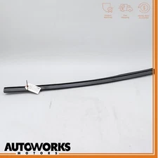 97-06 Jaguar XK8 XKR X100 Front Right Side Door Window Molding Seal OEM