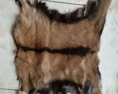 1pcs Real Antelope Goat Skin Pelt Rug Hide Tanned Leather Clothing Accessories - Picture 1 of 12