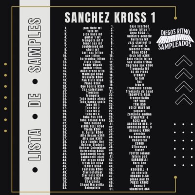 Samples Para KORG PA Y YAMAHA SX E Bismark BSi16 Y Otros Aplicaciones Más !