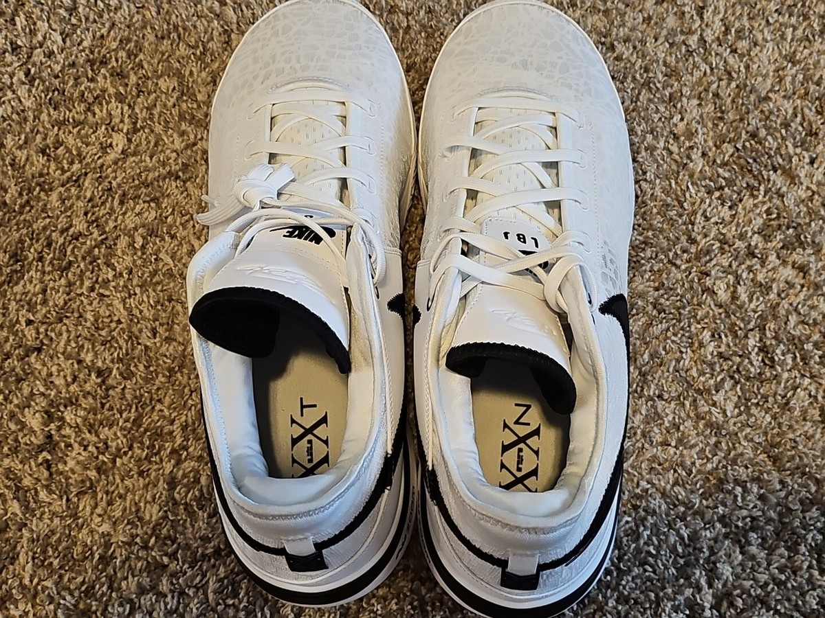 Mens Nike Zoom LeBron NXXT Gen TB Basketball Shoes White  display picture 1