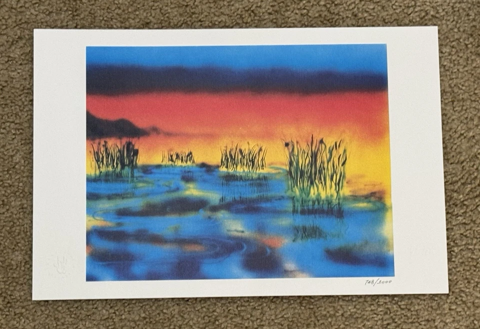 Póster litográfico Jerry Garcia humedales impresión artística Grateful Dead #748/1000 Foto 2 de 4