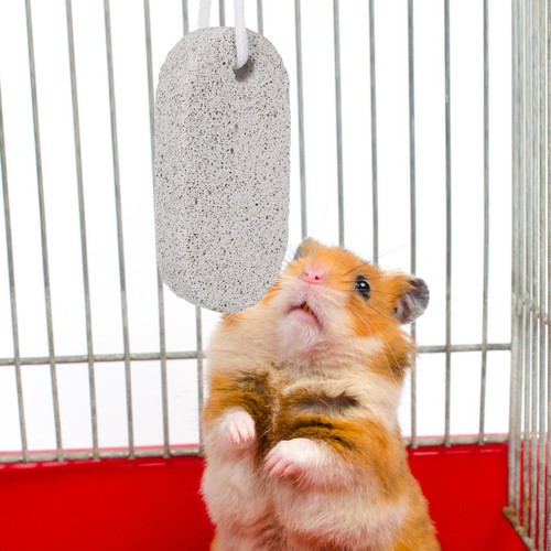 2Pcs Calcium Stone Chews Toy Small Animal Mineral Rabbit Toys Guinea Pig - 第 6/11 張圖片