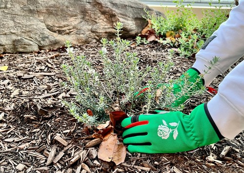 Morewell- Daisy Rose Embroidery Garden Gloves with Touchscreen Function - Picture 46 of 59