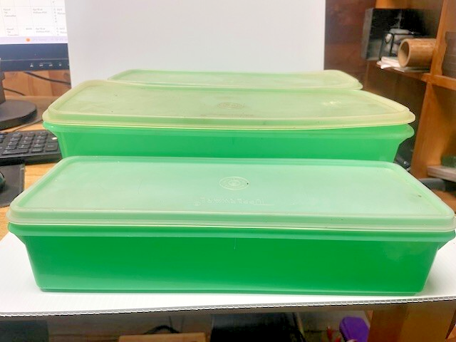 3 Tupperware 892-6 Long Green Rectangle Container w/ lid Vintage Celery ...