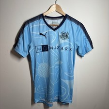 Puma Yorkshire Vikings Mens T20 Cricket Shirt Size Small Blue 