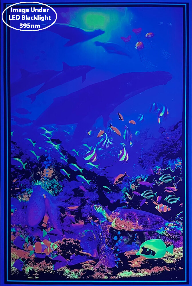 Oceanic - Non-Flocked Blacklight Poster 24
