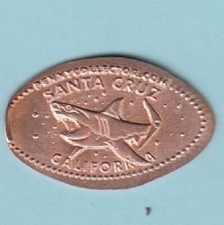 C] Shark / Great White ~ Santa Cruz ~ California . Retired/Gone