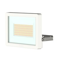 Theben Theleda B50 Dual WH Led-Strahler 50W 3000K/4000K IP65 Weiß 1020676
