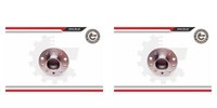 Esen SKV 2X Radnabe Radlagersatz Hinten FüR Opel Astra H Caravan Meriva B L35