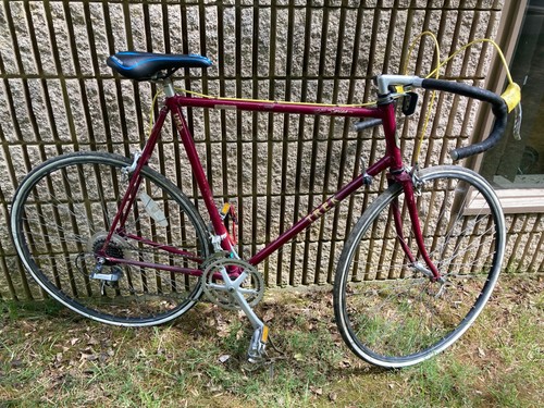 Trek road bike vintage 61cm Reynolds 