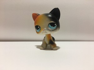 lps calico cat