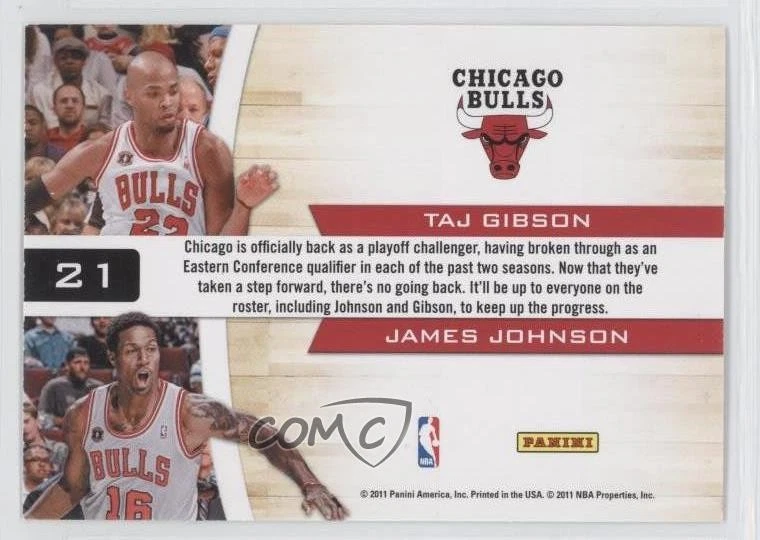 2010-11 Playoff Contenders Patches Starting Blocks Taj Gibson James Johnson #21 - Image 2 of 2