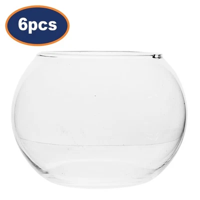 Vase bol en verre transparent 6 pièces bol à poisson 12 cm terrarium centre de table rond minimaliste - Photo 1/4