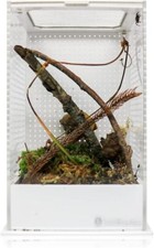 Swell Reptiles Mantis Display Box Mantis, Tarantula and Stick Insect Enclosure
