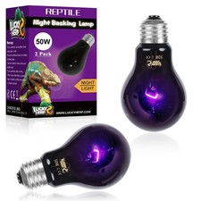 Reptile Heat Lamp 50W 2 Pack, Reptile Night Heat Bulb, Reptiles  Amphibians ...