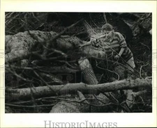1994 Press Photo Melissa Klegin, Southeastern Louisiana Domestic and Wild Animal