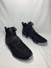 lebron 14 bred
